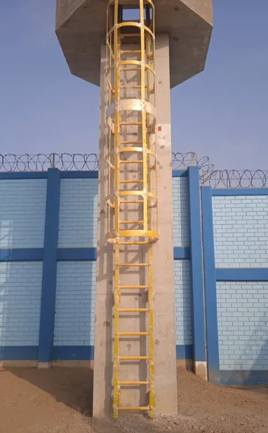 ESCALERA DE GATO